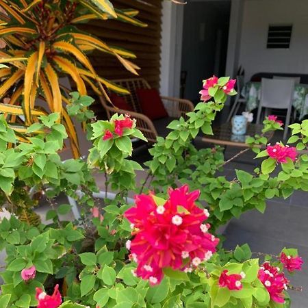 Le Tropical Appartement 1 Ou 2 Chambres レザンセス・ダルレット エクステリア 写真