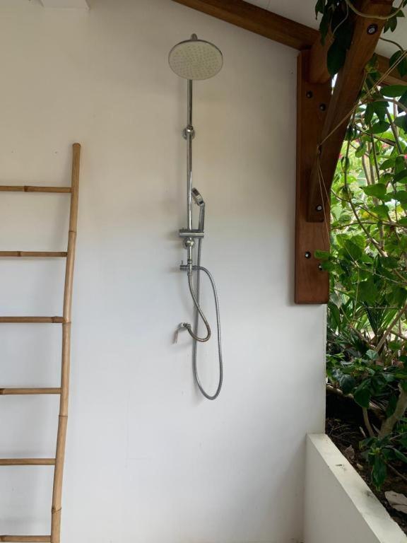 Le Tropical Appartement 1 Ou 2 Chambres レザンセス・ダルレット エクステリア 写真